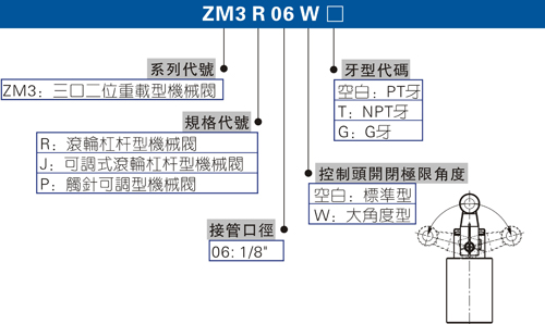 澳门澳官方网站